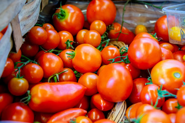 Tomatoes at the market display stall