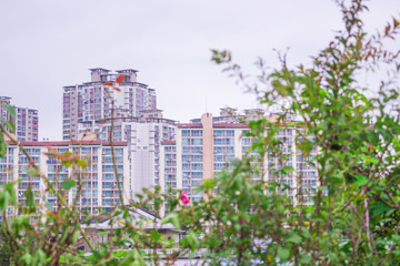 The image of old housing (apartment) in Onyang-dong. Onyang-dong is a part of the city of Asan in Chungcheongnam-do, South Korea. 