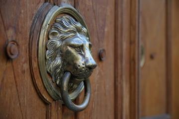 Piękna kuta kołatka do drzwi vintage w kształcie głowy lwa na drewnianych drzwiach we Lwowie - obrazy, fototapety, plakaty