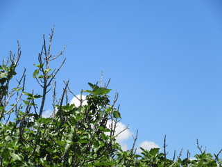 Lagos Portugal Portugease Beach Strand Summer Sommer Fr&uuml;hling Sprung Vacation Algarve