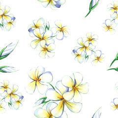 Fototapeta na wymiar Hand drawn watercolor illustration of plumeria flowers - seamless pattern on white background