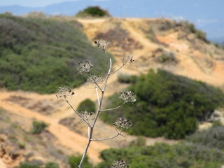 Lagos Portugal Portugease Beach Strand Summer Sommer Frühling Sprung Vacation Algarve