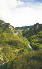 Green river valley canyon wide summer panorama Alpine mountain landscape. Mountain forest landscape. Tara River, Durmitor National Park, Montenegro
