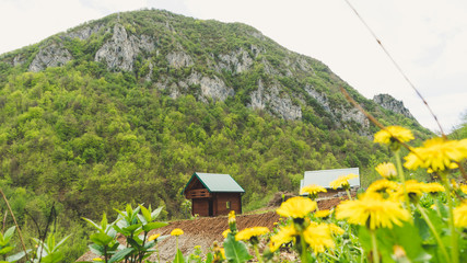 Fototapeta premium An Alpine meadow with wild flowers and an old wooden farmhouse. hut cabin in mountain alps at rural fall landscape