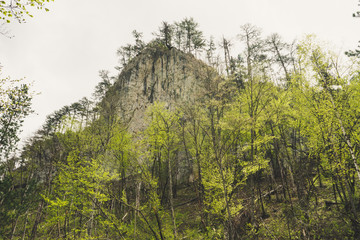 Rock mountain cliff and blue sky. Photo of Huge Rock Mountains Surrounded by Green Trees. Epic Mountain Landscape