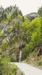 Fototapeta premium Refreshing stream water flowing down moss covered brown stones in a beautiful green forest in Montenegro. Cinematic shot of crystal clear water splashing as it flows from waterfall