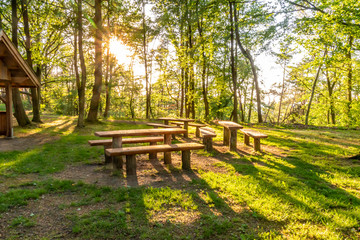 View of a resting place in the forest illuminated by the setting sun whose rays shine through the trees.