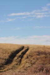 Fototapeta premium road in the field