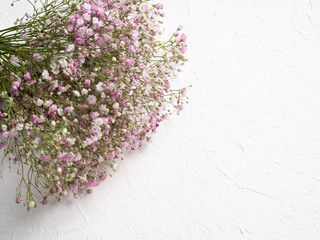 Delicate, airy pink gypsophila on a white textured background, copy space.