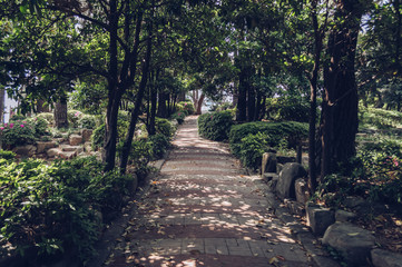 Fototapeta premium paved road inside public korean park