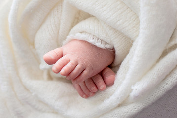 mother holds the feet of the newborn baby with her hands, fingers on the foot, maternal care, love and family hugs, tenderness.