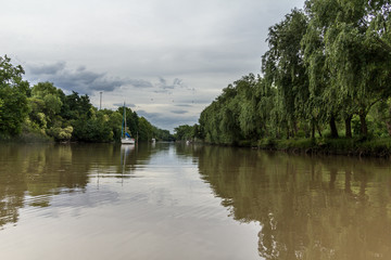Fototapeta premium Lujan River view from a boat, Buenos Aires, Argentina