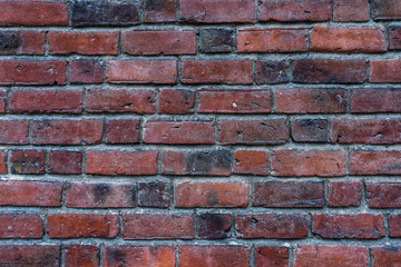 Bricks wall. 
