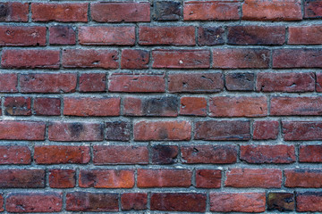 Fototapeta premium Bricks wall. 
