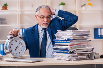 Aged male employee working in the office 