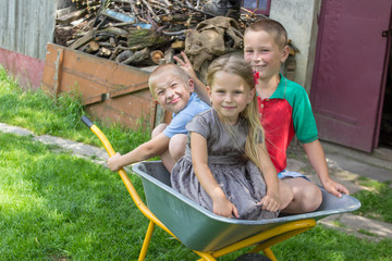 kids in wheelbarrow,two boys and a girl were sitting in a wheelbarrow in the summer, children are played by a wheelbarrow in the yard