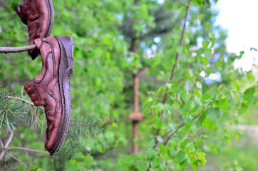 A pair of man's shoes hanging on a tree in the forest. Territory designation as a sign that there was a person here