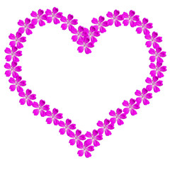 Frame heart of pink flowers on a white background with a copy space.