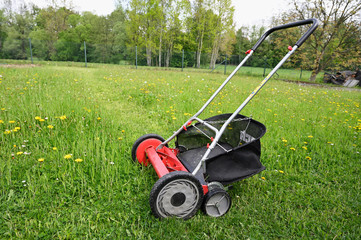 Red spindle lawn mower on lawn with cut grass part.
