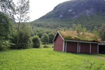 Obraz premium Road trip