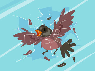 Bird Glass Collision Illustration © BNP Design Studio