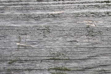 Detailed close up view on different wood surfaces showing planks logs and wooden walls in high...