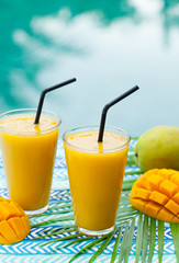 Fruit smoothie mango juice and fresh mango on a outdoor tropical background. Copy space.