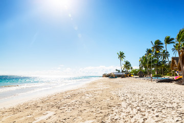 Coconut Palm trees on white sandy beach