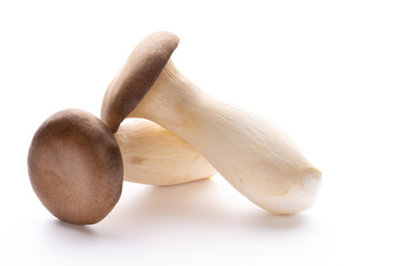 King oyster mushroom on white background.