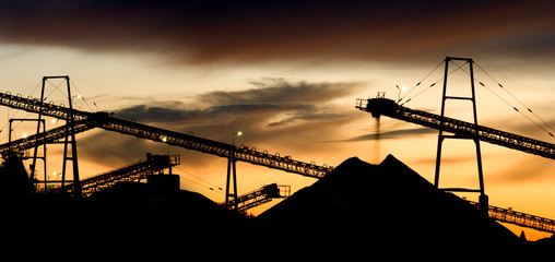 Panoramic Gravel Plant Landscape