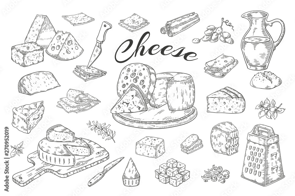 Wall mural cheese sketch. hand drawn milk products, gourmet food slices, cheddar parmesan brie. vector breakfas