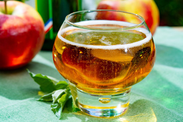 Glass with fresh cold French apple cider drink served with apples in green garden