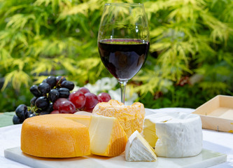 French cheeses collection, yellow Riche de Saveurs, Vieux Pane and Le peche des bons peres cheeses served with glass of red port wine on marble plate outdoor in green garden