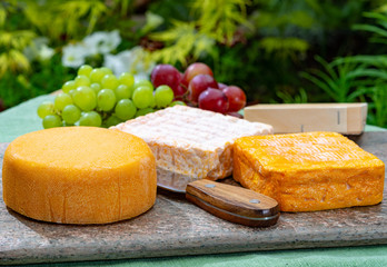 French cheeses collection, yellow Riche de Saveurs, Vieux Pane and Le peche des bons peres cheeses served on marble plate outdoor in green garden