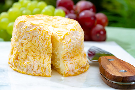 Langres, French cow milk soft cheese, creamy and crumbly with white rind