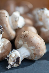 Fresh organic brown chestnut champignons from underground caves in Belgium