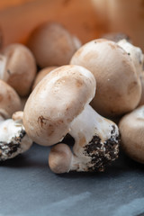 Fresh organic brown chestnut champignons from underground caves in Belgium