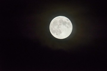 満月