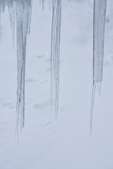 Fototapeta premium Icicles in a gloomy foggy winter day. Snow as background.