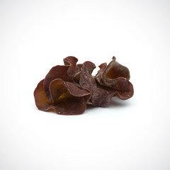 black fungus fresh on the white background