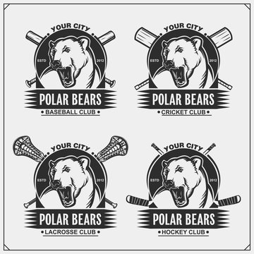 Cricket, baseball, lacrosse and hockey logos and labels. Sport club emblems with polar bear. Print design for t-shirts.
