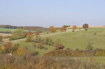 Fototapeta premium Feld