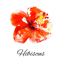 Beautiful red hibiscus flower. Watercolor painting. Exotic plant. Floral print. Sketch and blurry drawing. Botanical composition. Flower painted background. Hand drawn illustration.