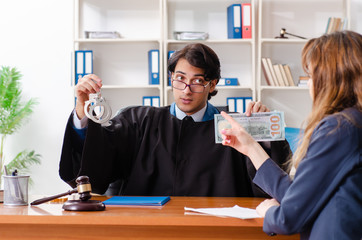Young woman visiting male lawyer 