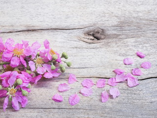 Fototapeta na wymiar Beautiful Pink flowers and petals Lagerstroemia speciosa on wood texture background, other names Queen's flower, Queen's crape myrtle, Jarul, Pyinma.