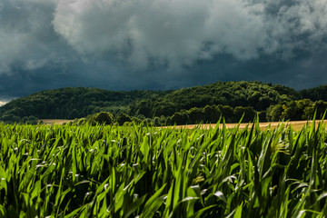 Regenwetter - Vorhersage