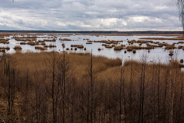 calm countryside lake river with cloud reflections in water and green shores