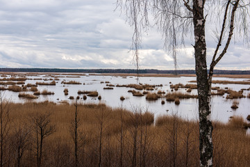 calm countryside lake river with cloud reflections in water and green shores