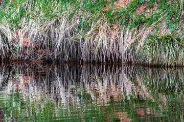 calm countryside lake river with cloud reflections in water and green shores