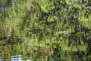 calm countryside lake river with cloud reflections in water and green shores